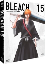 Bleach (First Press)